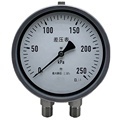 SKA-D103 Double Diaphragm Differential Pressure Gauge 100mm 150mm1