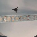 Good Quality LED Outdoor Waterproof Digital Flexible Wall Washer Light1