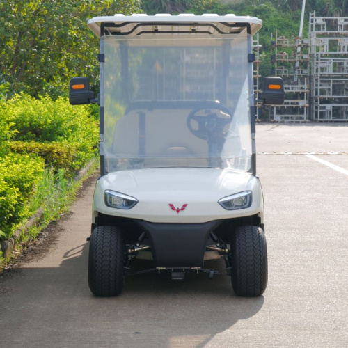 What are the use scenarios of Golf Cart?