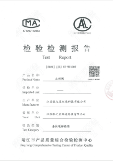 Inspection Report