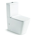 Modern Ceramic Two-Piece Toilet with Wash Down and P-Trap1