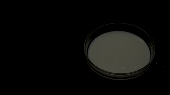 Ammonium Acrylate Copolymer