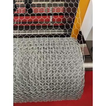 Ten Chinese Hexagonal wire netting Suppliers Popular in European and American Countries