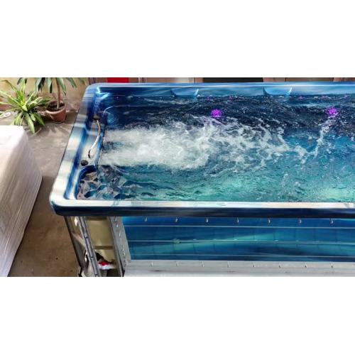 8807 Massage Swim Spa Pool