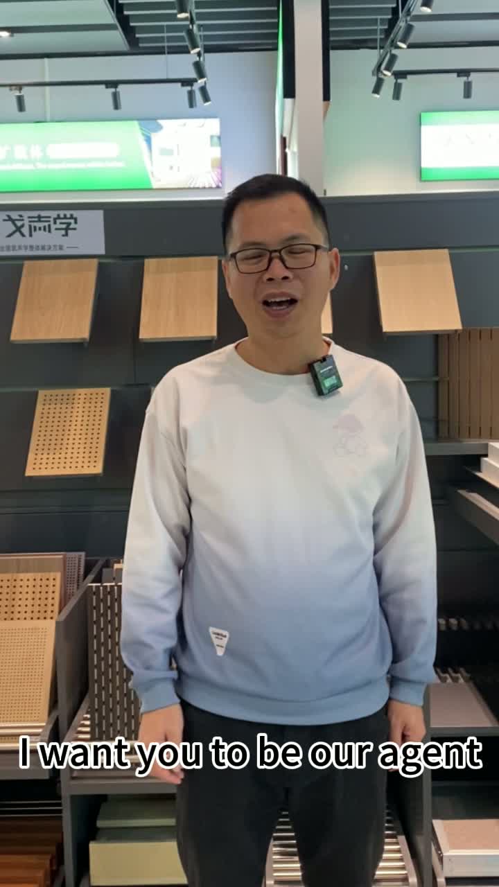 Quero que você seja nosso agente de produtos acústicos