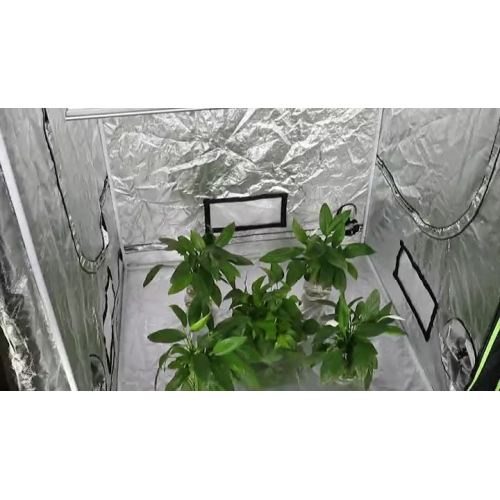 High PPFD Led Umols Grow Light