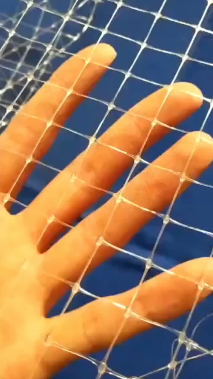 MMEXPORT1736515952489