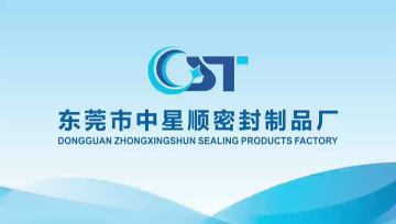 oil Seal product promotional