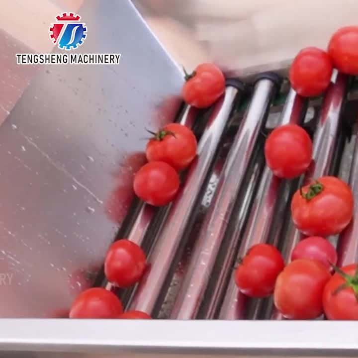 Equipo de clasificación de frutas comercial tipo rodillo TS-FS340C