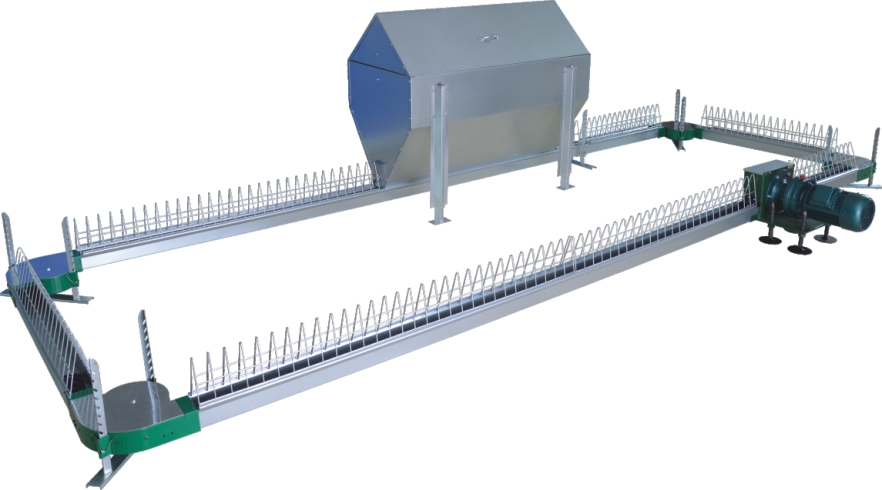 Poultry Chain Feeding System