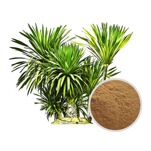 What is Yucca Extract?What does it do?