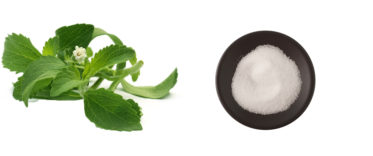 Stevia Extract powder