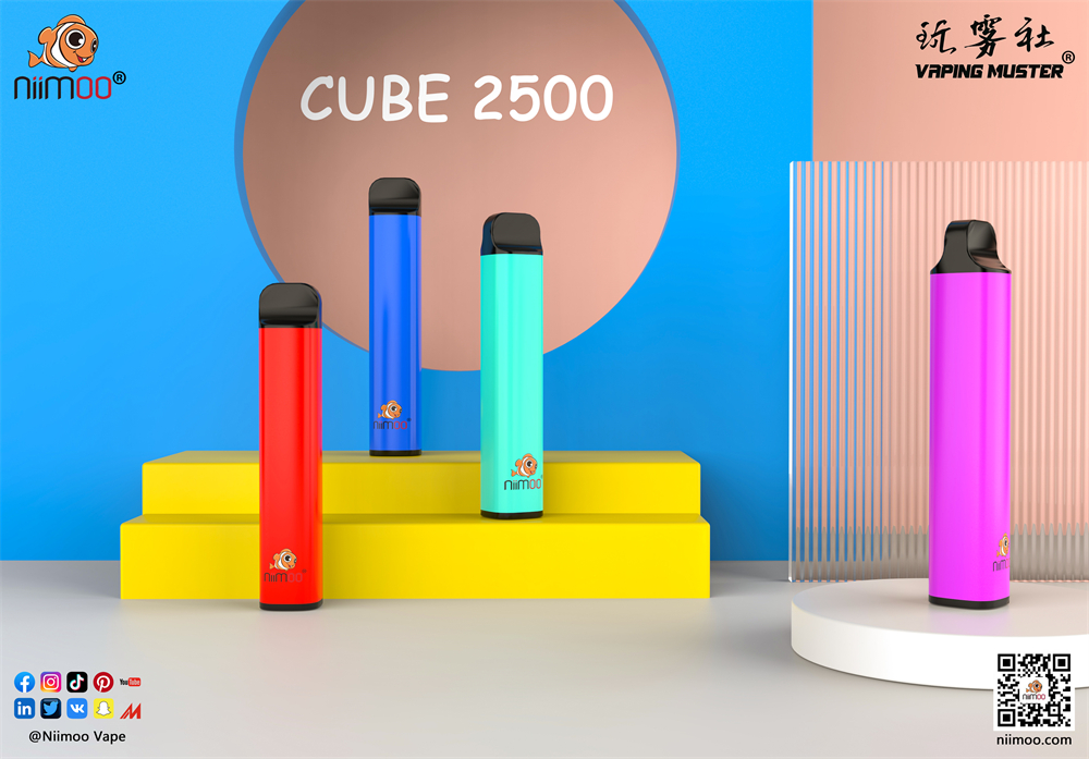 Cube mesh vape 2500