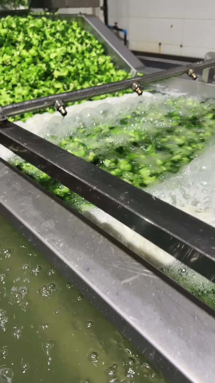 IQF broccoli process production line