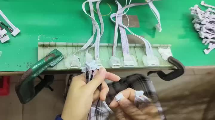 Cable Assembly (8)