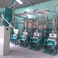Hot Sale Corn Flour Milling Machine with Complete Line - 30T per 24 Hours1