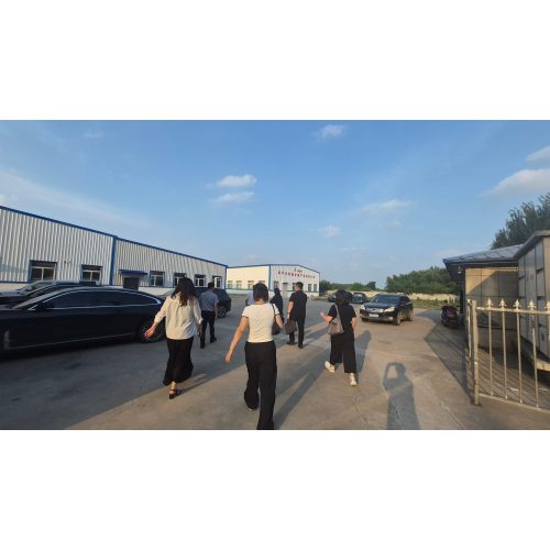 Líderes de la Oficina de Comercio y el Grupo Jigao visitaron Siping Hongfu para realizar investigaciones y promover nuevos avances en canales en línea para productos agrícolas y secundarios.