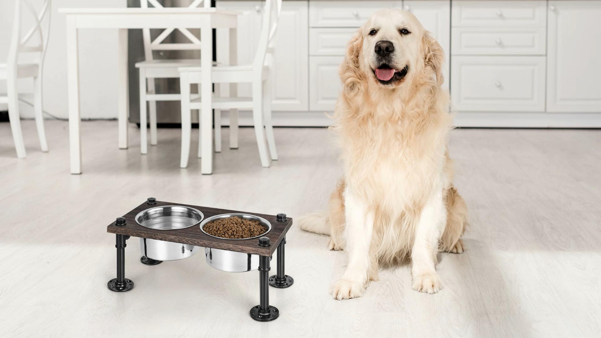 Dog Feeder Feeding Bowl