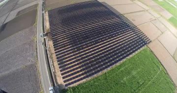 solar farm
