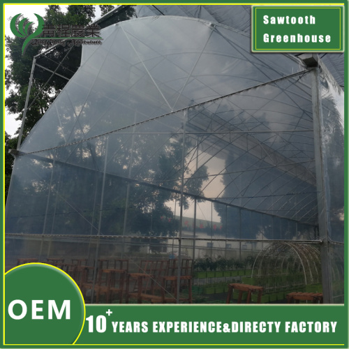 Прынцыпы паліву ў цяпліцы