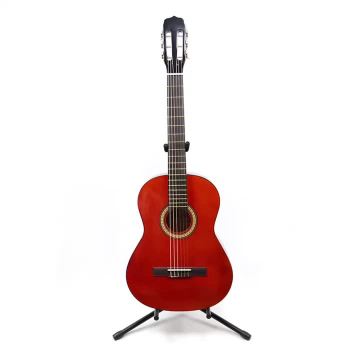 Guitar-8