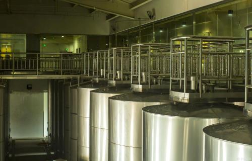 CNCSBIO Bulk Rosemary: Attractive Factory-Direct Price, Reliable Quality & High Efficacy for Global B2B Buyers