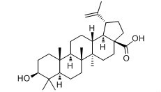 Factory Supply Birch Bark Extract , Betulinic Acid , Betulin