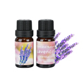 OEM Private Brand Lavender Essential Oil - 10ml Wholesale Organic Pure Natural Lavender Oil1