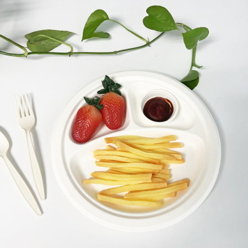 Einweg-Zuckerrohr-Bagasse 10 Zoll 3-Div-Rundplatte