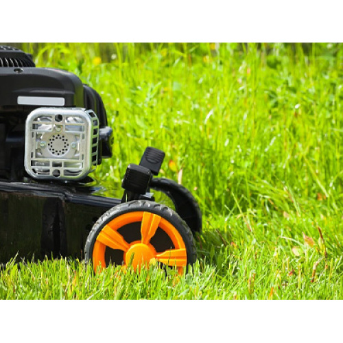 Elektrifikasyon ve İstihbarat, 2026'da Küresel Çim Biçme Makinesi Pazarında Patlamaya Yol Açıyor