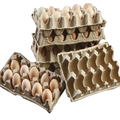 Egg Tray Production Machine for Waste Paper Recycling1