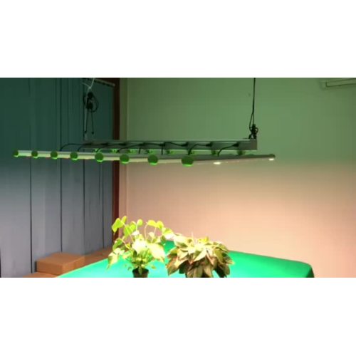 600w Led Grow Light