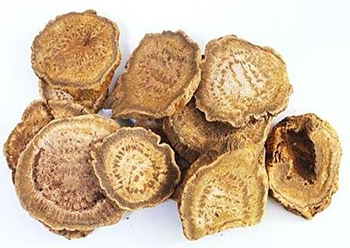 What effect does Astragalus extract have?