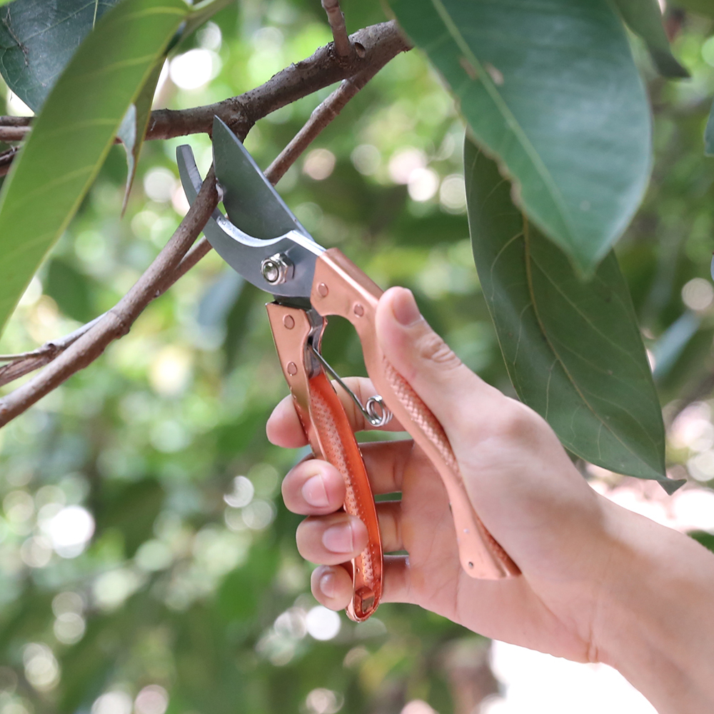 Nouveau sécateur design golden bypass sécateur à main jardin utiliser des ciseaux de coupe de fleurs