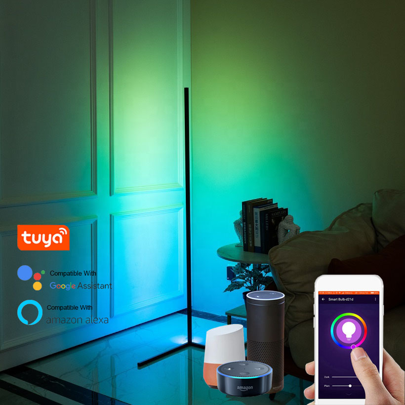 Smart Tuya Floor Lamp