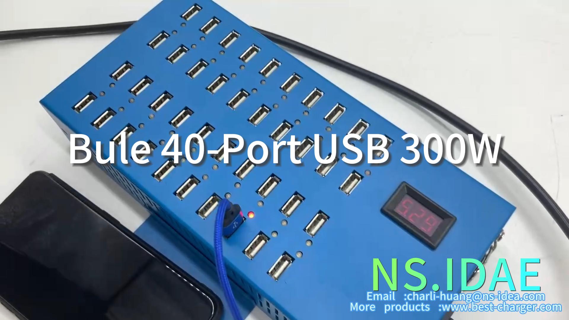 Bule 40- 포트 USB 300W