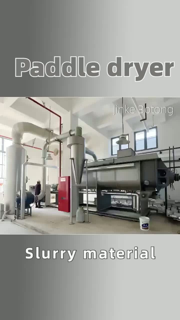 paddle dryer