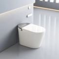 Intelligent Heated Smart Toilet Seat with MJ-ST07 Sensor1
