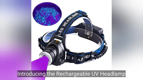 Faros UV recargables con 395 nm LED para la pesca nocturna y la caza de escorpiones11