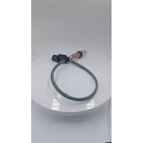 Oxygen Sensor