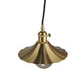 Gold Finish Fashion Brass Lamp and Pendant Light1