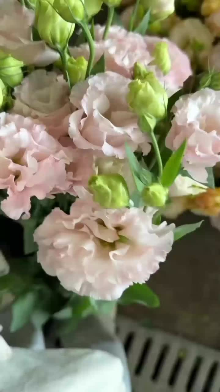 টাটকা কাট ফুল গোলাপী Lisianthus বিবাহের সজ্জা উচ্চ মানের সরাসরি সরবরাহ