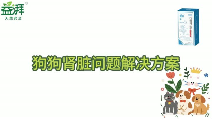 Suplementos nutricionales para riñones de mascotas para perros