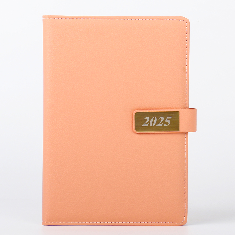 2025 Leather Daily Planner