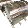 Stainless Steel Strip for Springs (301, 304, 304L)1