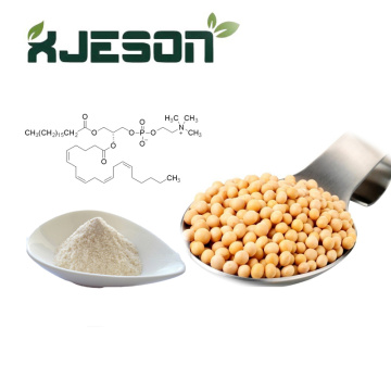 Top 10 Food Grade Soybean Lecithin Manufacturers