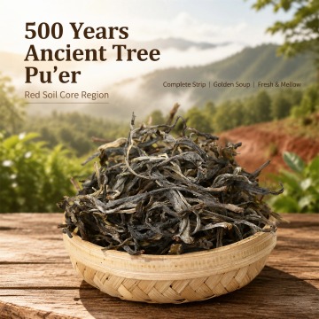 2025 Xiaohusai Ancient Tree Sun-Dried Raw Loose Tea