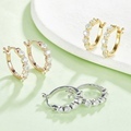 Wholesale 925 Sterling Silver Earrings with 1CT VVS Moissanite for Trendy Weddings and Hoop Designs1