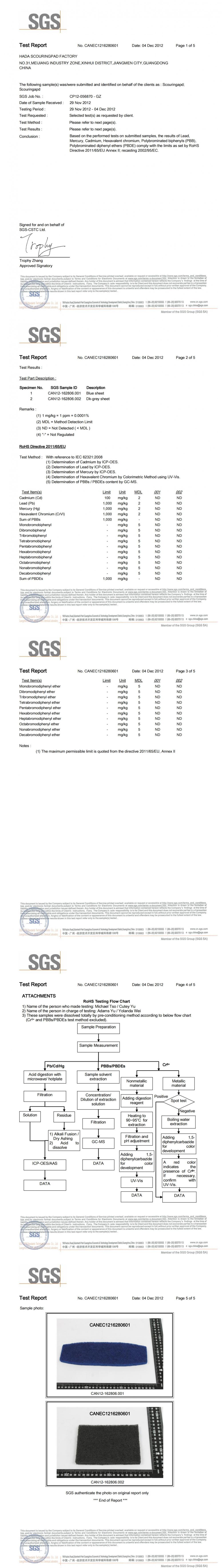 SGS REPORT