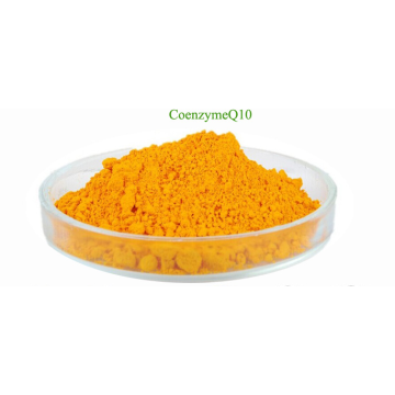 The Function of Coenzyme Q10